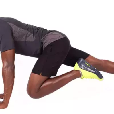Mountain Climbers