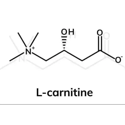 L-Carnitine | Carnitine : effets, bénéfices et dangers, qu-'est-ce que c'est ?