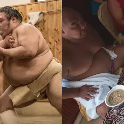 Des sumos qui s’entraînent et qui mangent 
