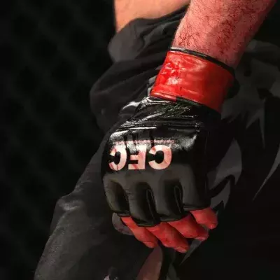Bien qu'encadré, le MMA reste un sport à risques. 