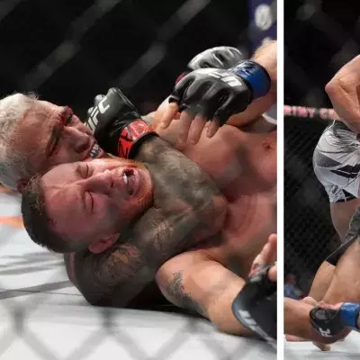 Charles Oliveira et Michael Chandler se sont respectivement imposés face à Justin Gaethje et Tony Ferguson à l'UFC 274. 