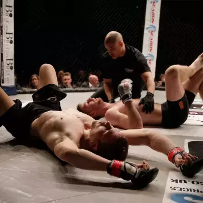 Combattants fatigués 