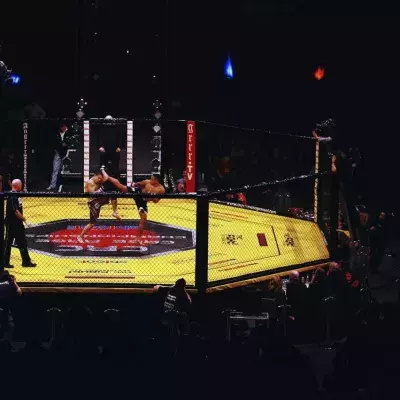 Le KSW est une des meilleures organisations européennes de MMA. 