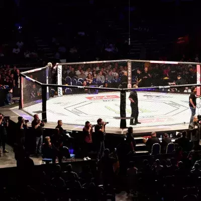 Les combats se déroulent dans un octogone à l'UFC. 