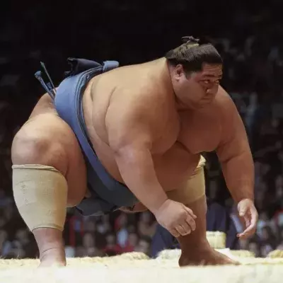 Orora Satoshi est le sumo le plus lourd à avoir participé à une compétition. 