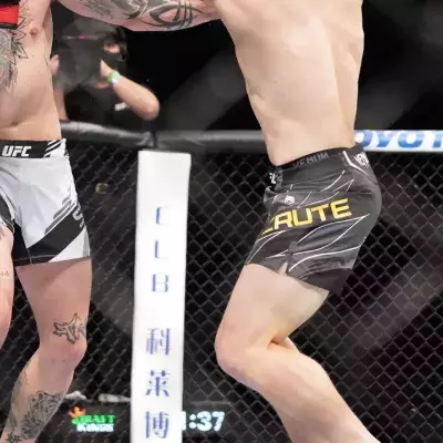 Quand un combattant de MMA attaquait un spectateur juste après son KO