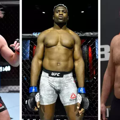 Stipe Miocic, Francis Ngannou et Fedor Emelianenko sont quelques uns des meilleurs poids lourds de l'histoire. 