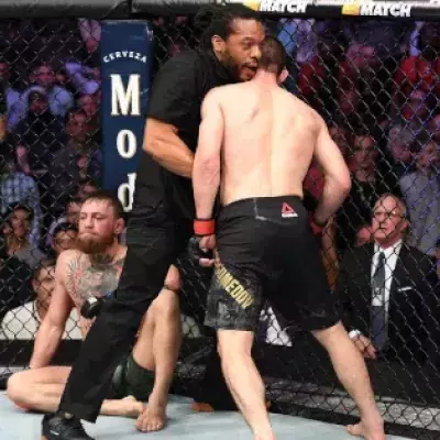 UFC 229
