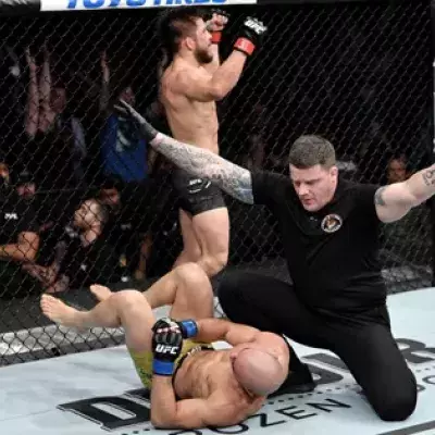 UFC 238