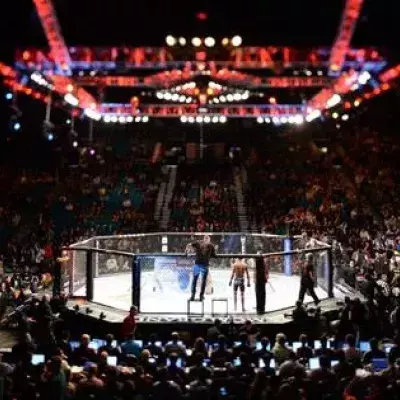 UFC octogone