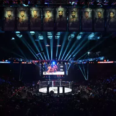 Une cage de MMA. 