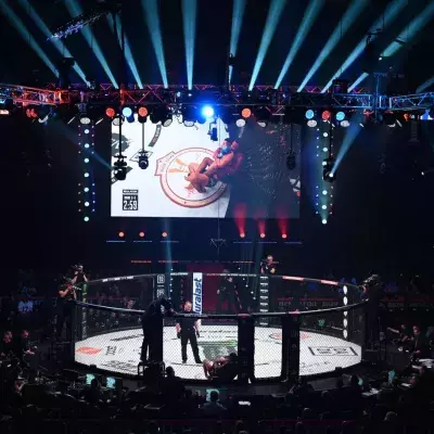 Une cage de MMA. 