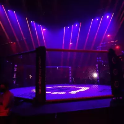 Une cage de MMA. 