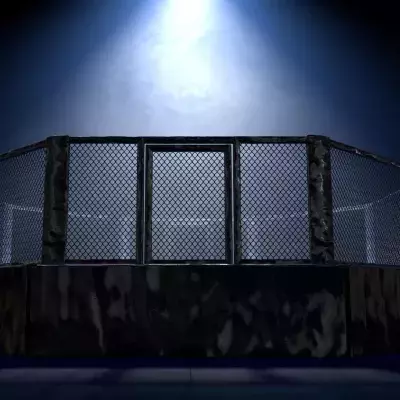 Une cage de MMA 