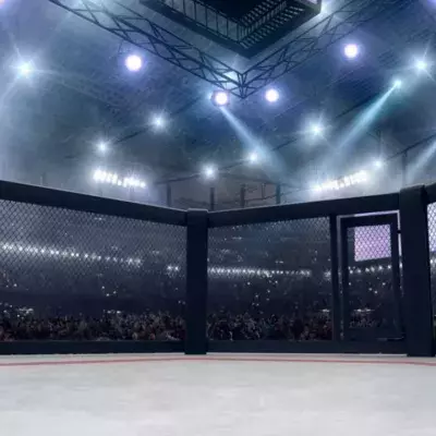 Une cage de MMA 