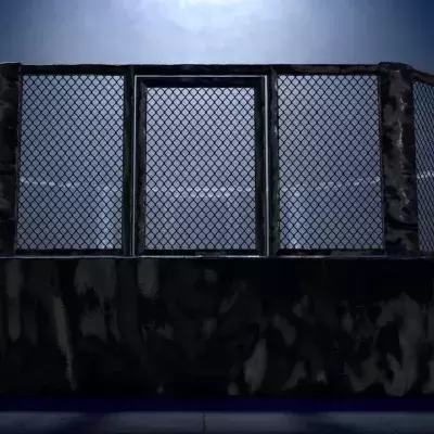 Pierre Ludet était promis à un bel avenir dans le MMA. 