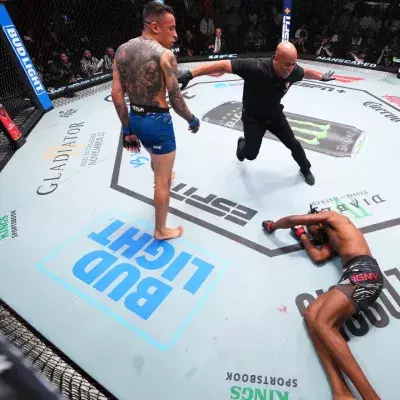 Cage de l'UFC