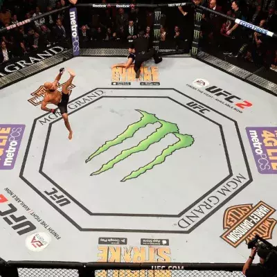 Demetrious Johnson dans l'octogone de l'UFC. 