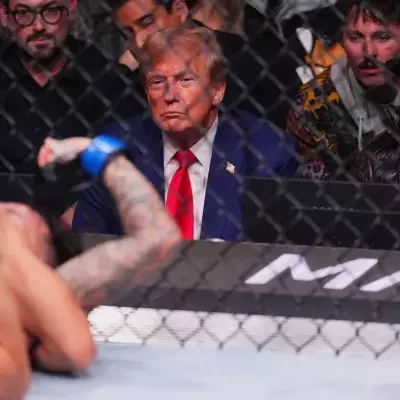 Donald Trump au premier rang d'un évènement organisé par l'UFC. 