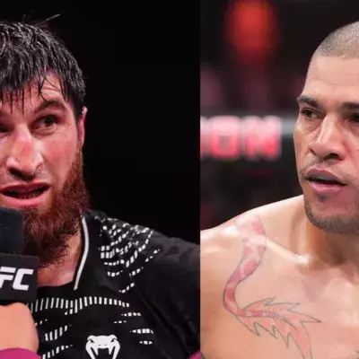 Magomed Ankalaev et Alex Pereira