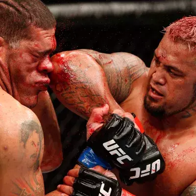 Mark Hunt Antonio Silva