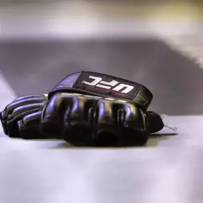 Mitaines UFC