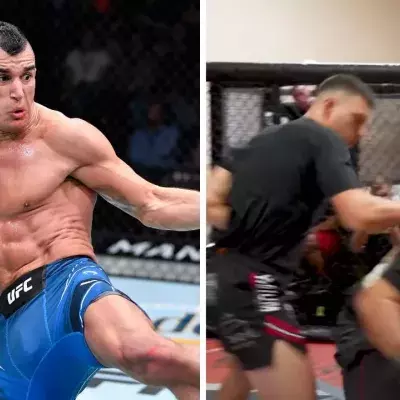 Natan Levy est un combattant israélien signé à l'UFC. 