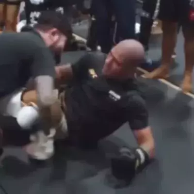 Sparring entre Dillon Danis et Alex Pereira 