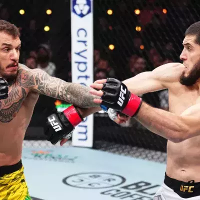 UFC 311