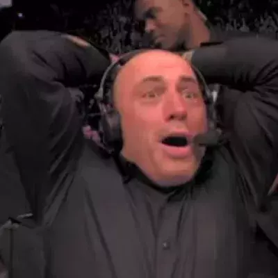 UFC : Joe Rogan