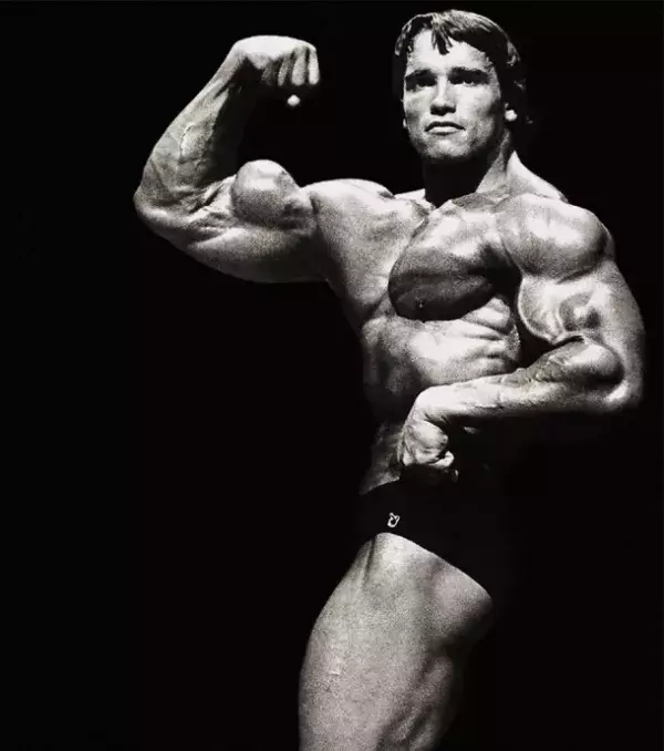 1- Arnold Schwarzenegger