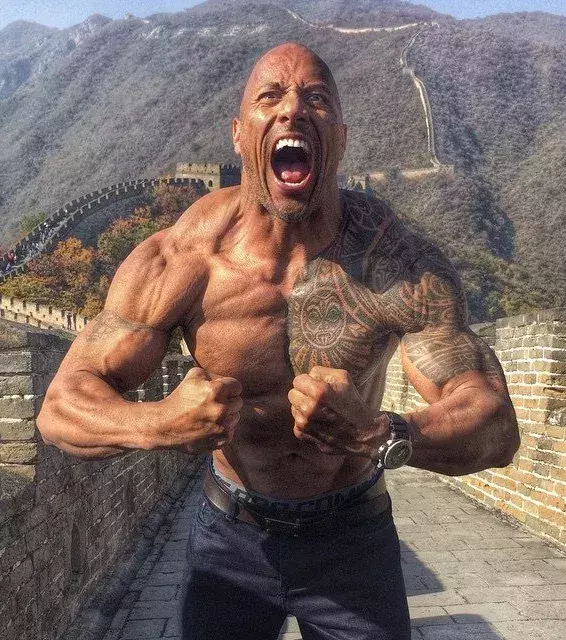7. Dwayne Johnson : ancien grand catcheur à la WWE, il a notamment été champion du monde. Il s'est depuis reconverti dans une carrière d'acteur avec réussite