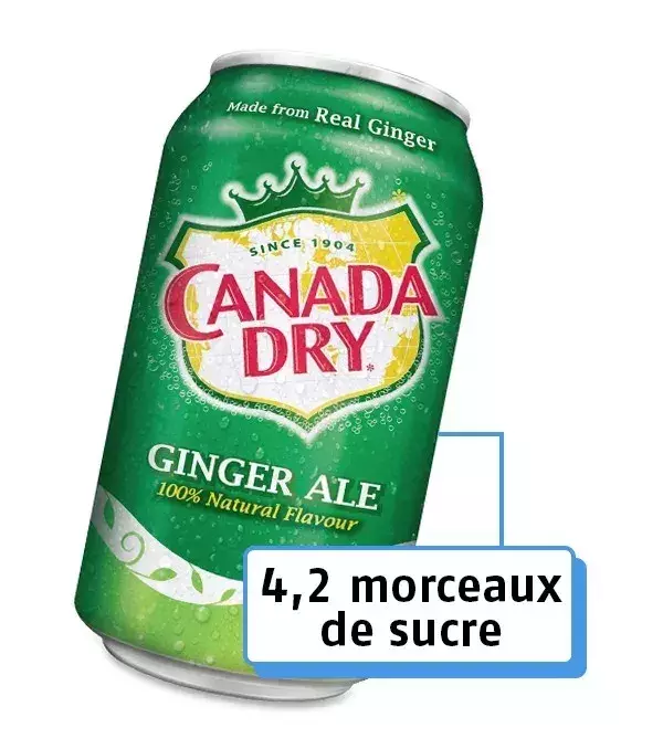 17. La boisson Canada Dry 