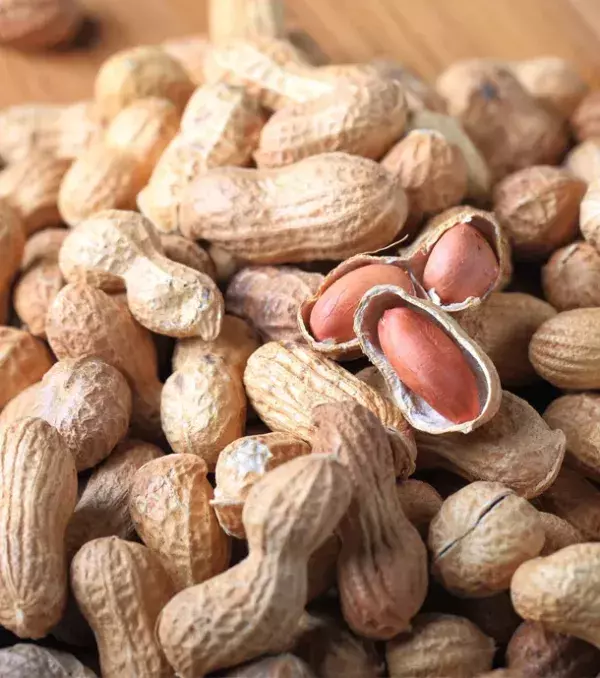 Les cacahuètes sont réputées pour être une bonne source de protéines. C'est d'ailleurs souvent pour cela que les sportifs prennent du beurre de cacahuètes.