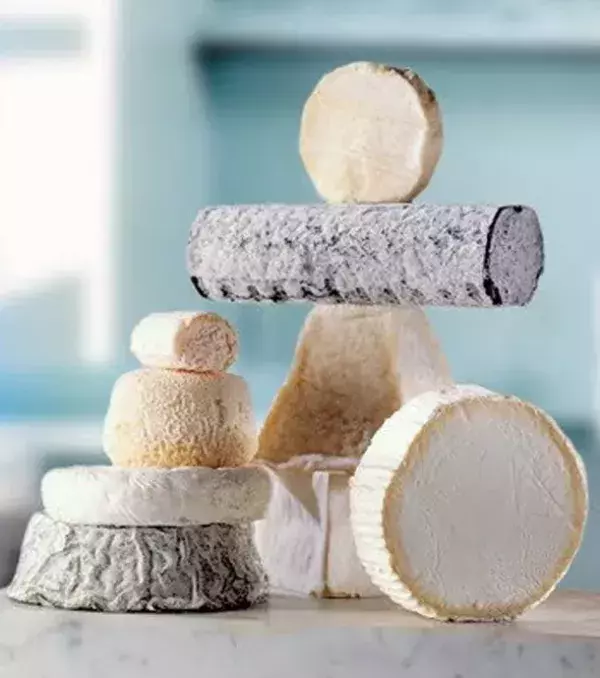 Les fromages de chèvre. Plein de protéines, les fromages de issus du lait de chèvre sont moins gras que ceux issus du lait de vache.