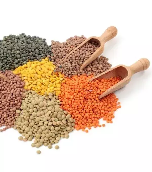 Les lentilles sont un légume qui contient 15 grammes de protéines pour une cup et aussi une grande source de vitamine B1.