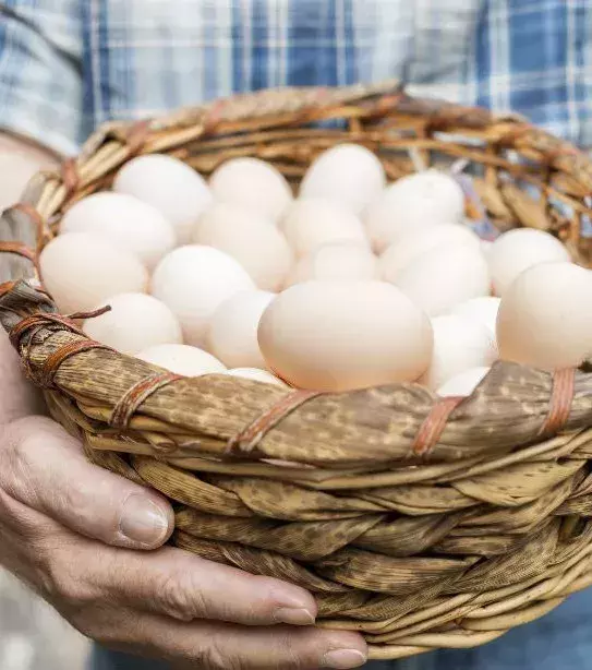 6. Les oeufs (durs ou brouillés)