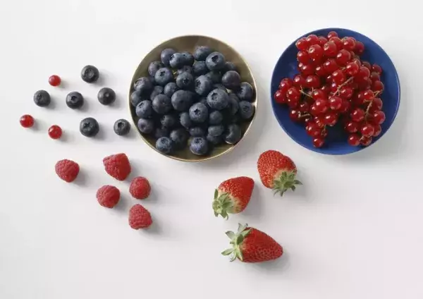 Smoothie pur fruits rouges (57 g protéines)